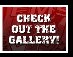 Check Out The Gallery!